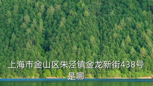上海市金山區朱涇鎮金龍新街438號是哪