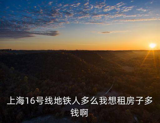 上海市地鐵16號線最近的出租房，上海哪里租房可以離地鐵較近且房租比較合適