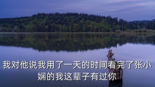 我這輩子有過你，我對他說我用了一天的時間看完了張小嫻的我這輩子有過你