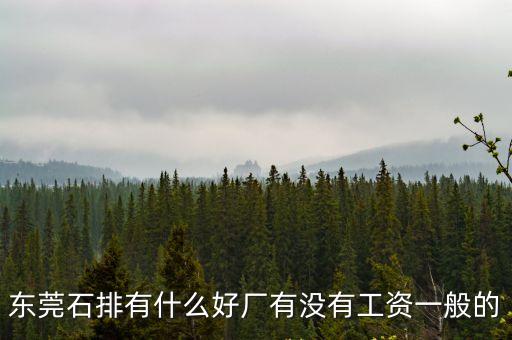 東莞石排普聯(lián)工資多少，東莞石排 眼境廠工資怎樣我拋光的
