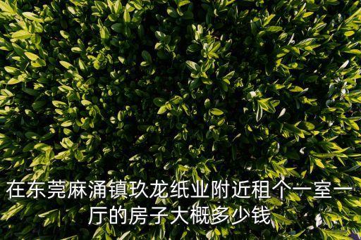 在東莞麻涌鎮玖龍紙業附近租個一室一廳的房子大概多少錢