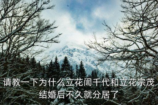 立花宗茂，求魔獸信長 立花宗茂 出裝 還有這是我的出裝方法 舞雷 吹箭 蜻蜓 三日月