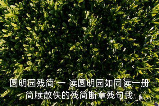 圓明園殘簡(jiǎn) 一 讀圓明園如同讀一冊(cè)簡(jiǎn)牘散佚的殘簡(jiǎn)斷章殘句我