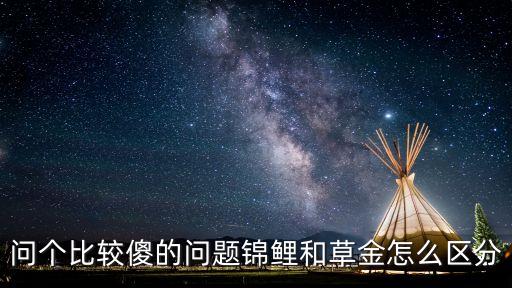問個比較傻的問題錦鯉和草金怎么區分