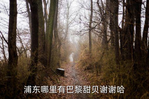 浦東哪里有巴黎甜貝謝謝哈