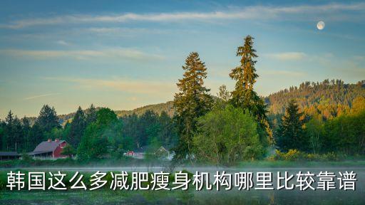 韓國(guó)這么多減肥瘦身機(jī)構(gòu)哪里比較靠譜