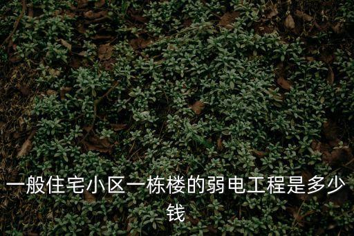一般住宅小區(qū)一棟樓的弱電工程是多少錢