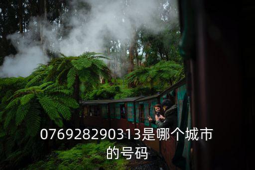 076928290313是哪個城市的號碼