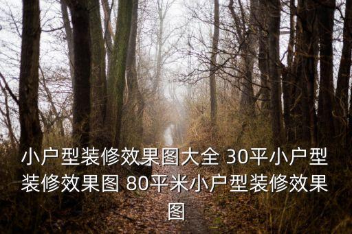 小戶型裝修效果圖大全 30平小戶型裝修效果圖 80平米小戶型裝修效果圖