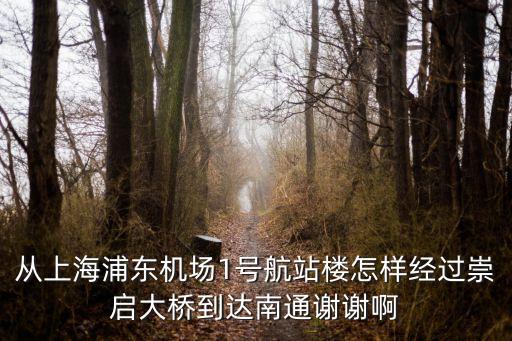 上海市到南通市的大橋，請問上海到南通的大巴是否過新開通的蘇通大橋