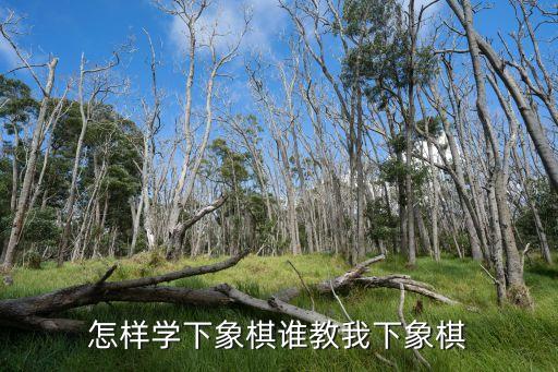 學下象棋入門，怎樣學下象棋誰教我下象棋