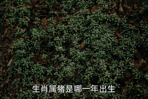 生肖屬豬是哪一年出生