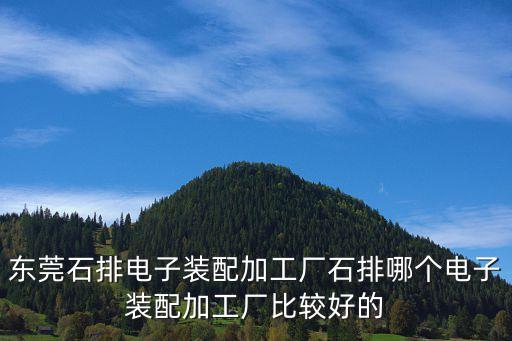東莞石排電子裝配加工廠石排哪個電子裝配加工廠比較好的