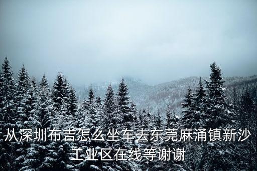 東莞麻涌新沙針織廠，東莞針織制衣有限公司