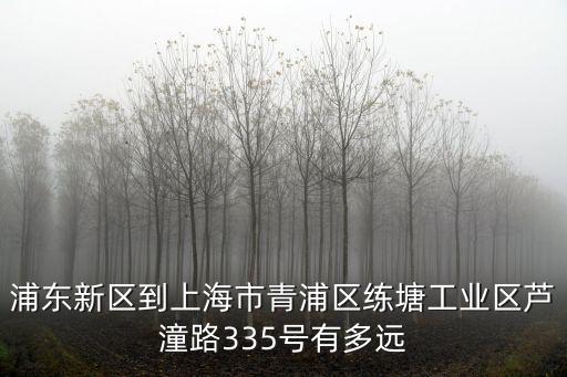 上海市青浦區練塘鎮蘆花村，誰知道這是那個地方