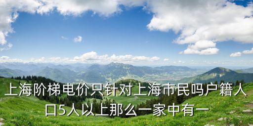 上海市電力公司金明輝新聞，上海嘉定電力公司和國家電網的關系