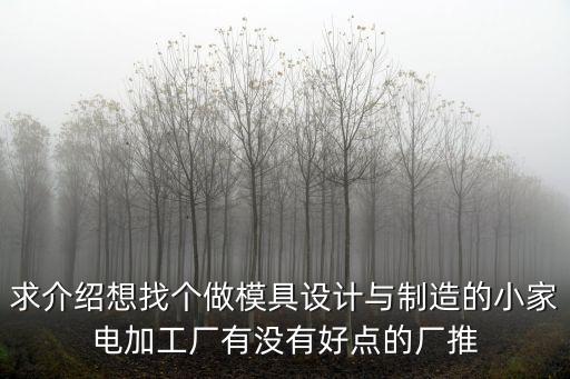 求介紹想找個做模具設計與制造的小家電加工廠有沒有好點的廠推