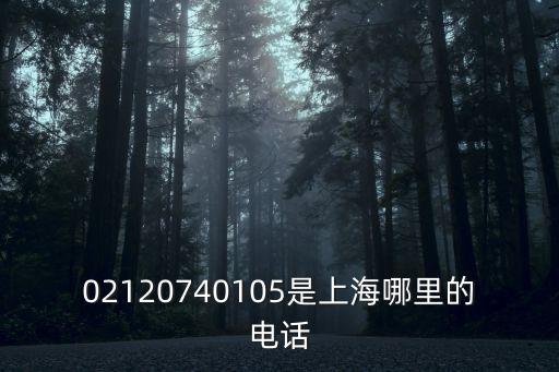 02120740105是上海哪里的電話