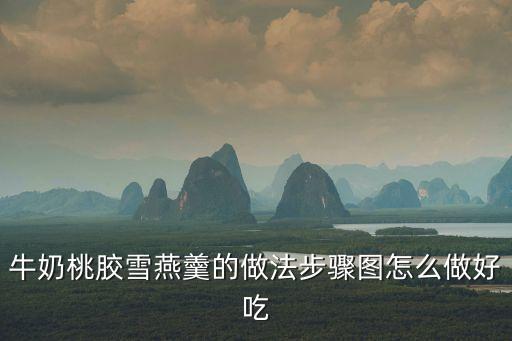 雪燕桃膠，牛奶桃膠雪燕羹的做法步驟圖怎么做好吃