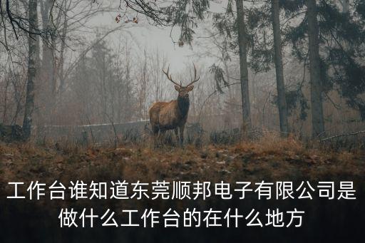 東莞拓邦電子是做什么，廣東東莞電子廠作什么