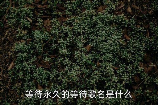 等待永久的等待歌名是什么