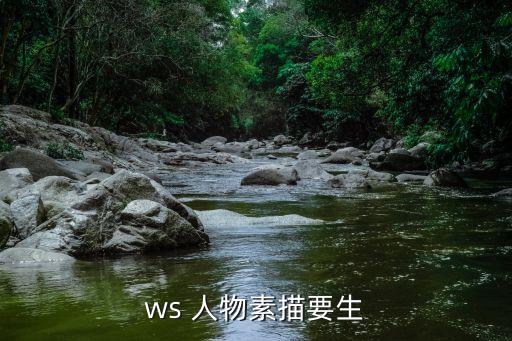 ws 人物素描要生