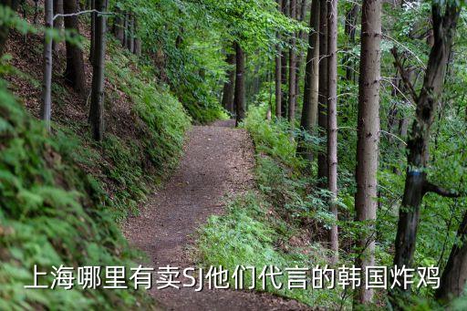 上海哪里有賣SJ他們代言的韓國炸雞
