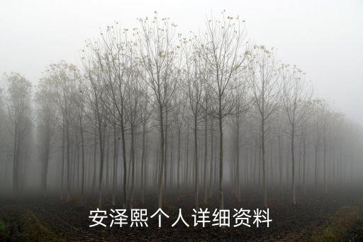 安澤熙個人詳細資料