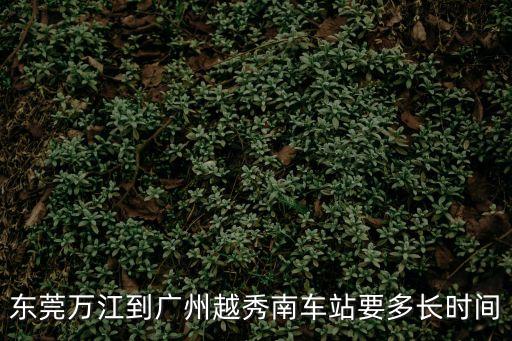 東莞到廣州越秀南站，請問有沒有東莞到廣州越秀南汽車站的車