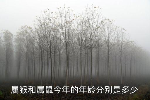生肖鼠今年幾歲，屬鼠的 1996 今年多少歲