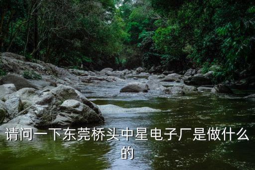請問一下東莞橋頭中星電子廠是做什么的