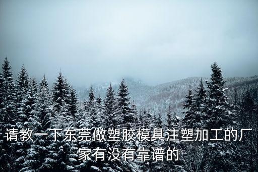 東莞塑膠模具配件加工，東莞最大得模具配件公司是哪個公司呀謝謝