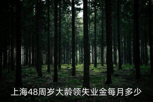 上海市大齡失業(yè)金怎么拿，上海48周歲大齡領(lǐng)失業(yè)金每月多少