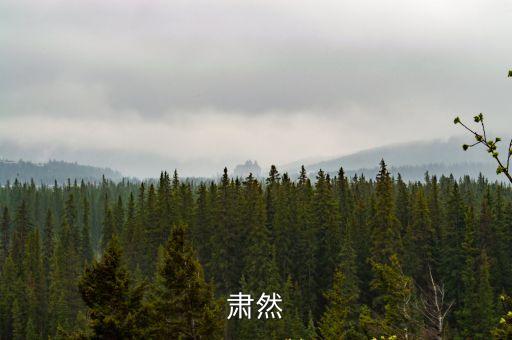 肅然，肅然起敬的肅然是什么意思