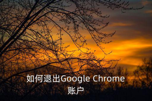 如何退出Google Chrome賬戶