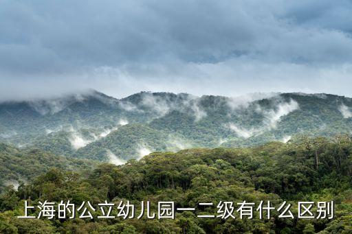 上海的公立幼兒園一二級(jí)有什么區(qū)別