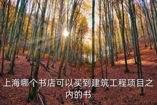 上海哪個書店可以買到建筑工程項目之內的書