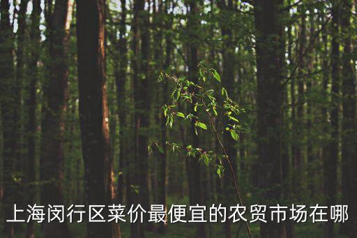 上海閔行區菜價最便宜的農貿市場在哪