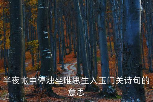 半夜帳中停燭坐唯思生入玉門關詩句的意思