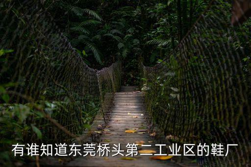 東莞市明華鞋廠，東莞亮華鞋廠底部怎樣