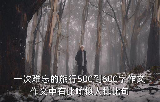 一次難忘的旅行500到600字作文作文中有比喻擬人排比句
