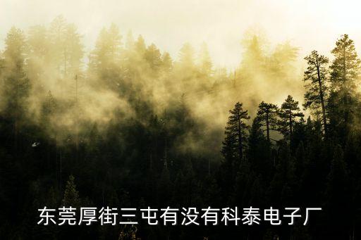 東莞厚街三屯有沒有科泰電子廠
