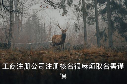 上海市大超實業有限公司，上海阿吉豆實業發展有限公司怎么樣