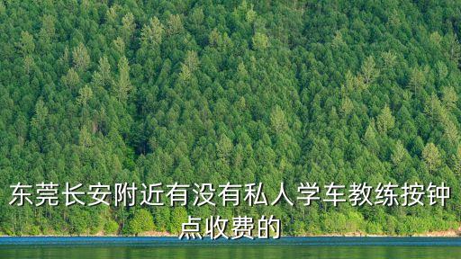 東莞駕考陪練，我想學車找個陪練要多少錢一小時