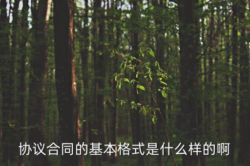 協(xié)議合同的基本格式是什么樣的啊