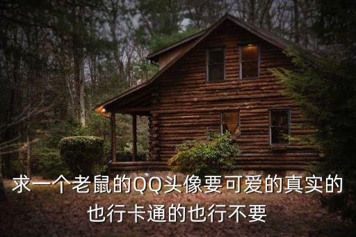 可愛老鼠圖片，有沒有可愛好看的老鼠圖片