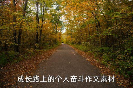 成長路上的個人奮斗作文素材