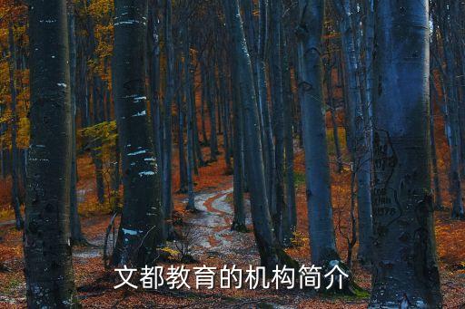 文都教育的機構簡介