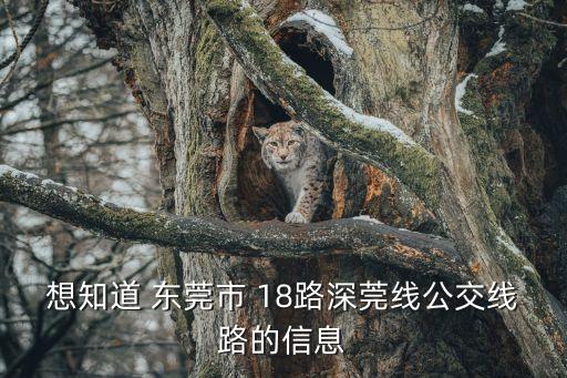 想知道 東莞市 18路深莞線公交線路的信息