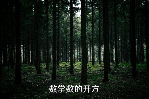 數(shù)學(xué)數(shù)的開方